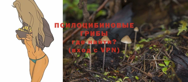 дистиллят марихуана Новозыбков