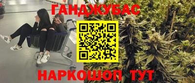 PSILOCYBIN Гусиноозёрск
