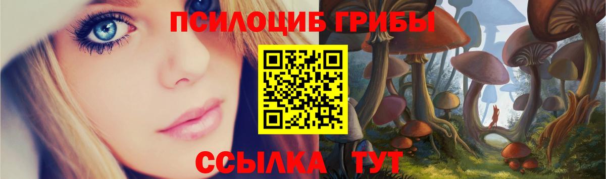Псилоцибиновые грибы прущие грибы  Псилоцибиновые грибы мухоморы  Калининград  Вход с VPN 